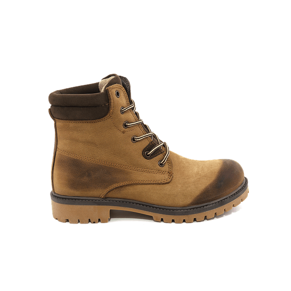 Suspendisse gravida lacus varius